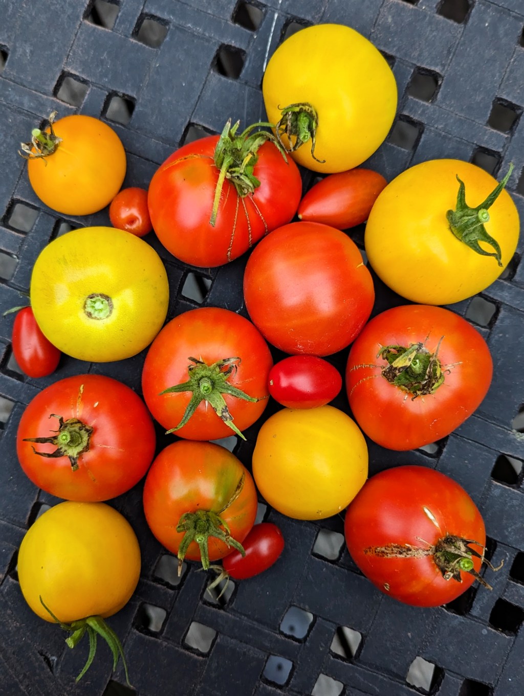 Ukrainian tomato salad